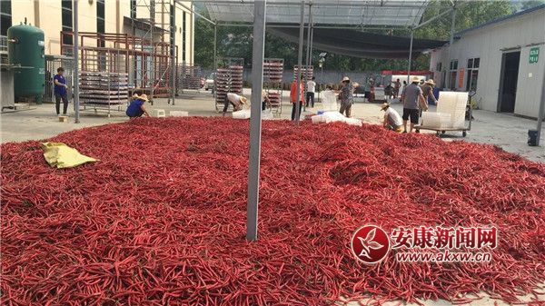 ttĮa(chn)I(y).jpg
