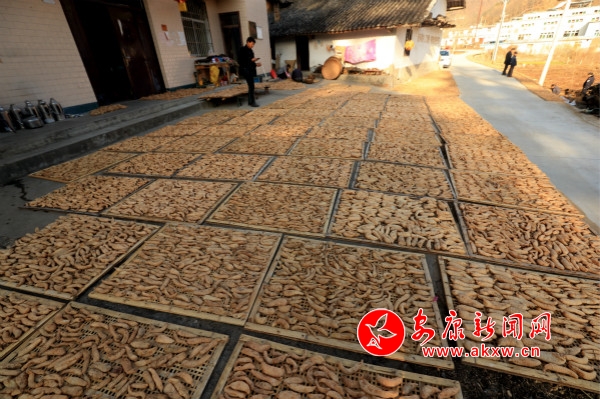 A_(ki)ԼN߀ոȺNֲ飬(dng)ȺÓؚ¸_meitu_2.jpg
