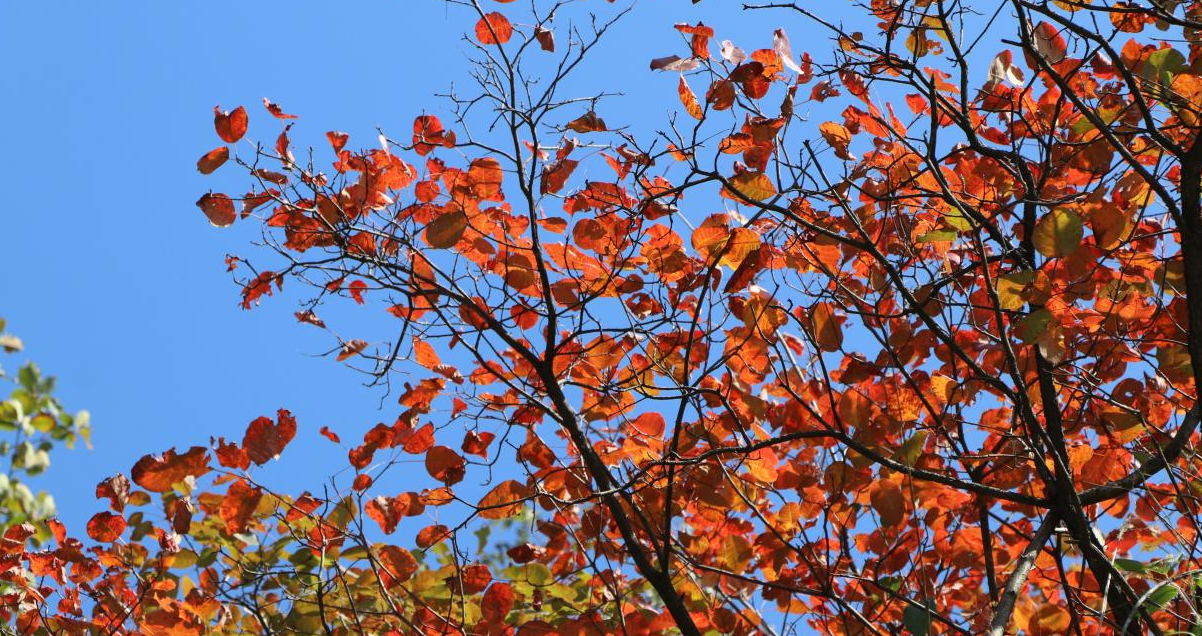 �M(m��n)ɽ�t�~�Ʋ�ϼ