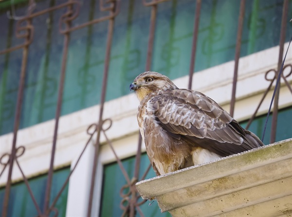 ���޿h�����R�^ӛ��\�B(ni��o)�F(xi��n)��