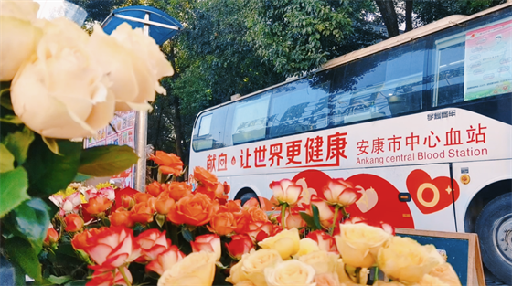 安康這三兄妹，熱血！